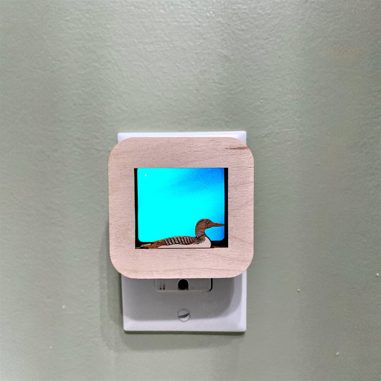 Wildlife Night Lights